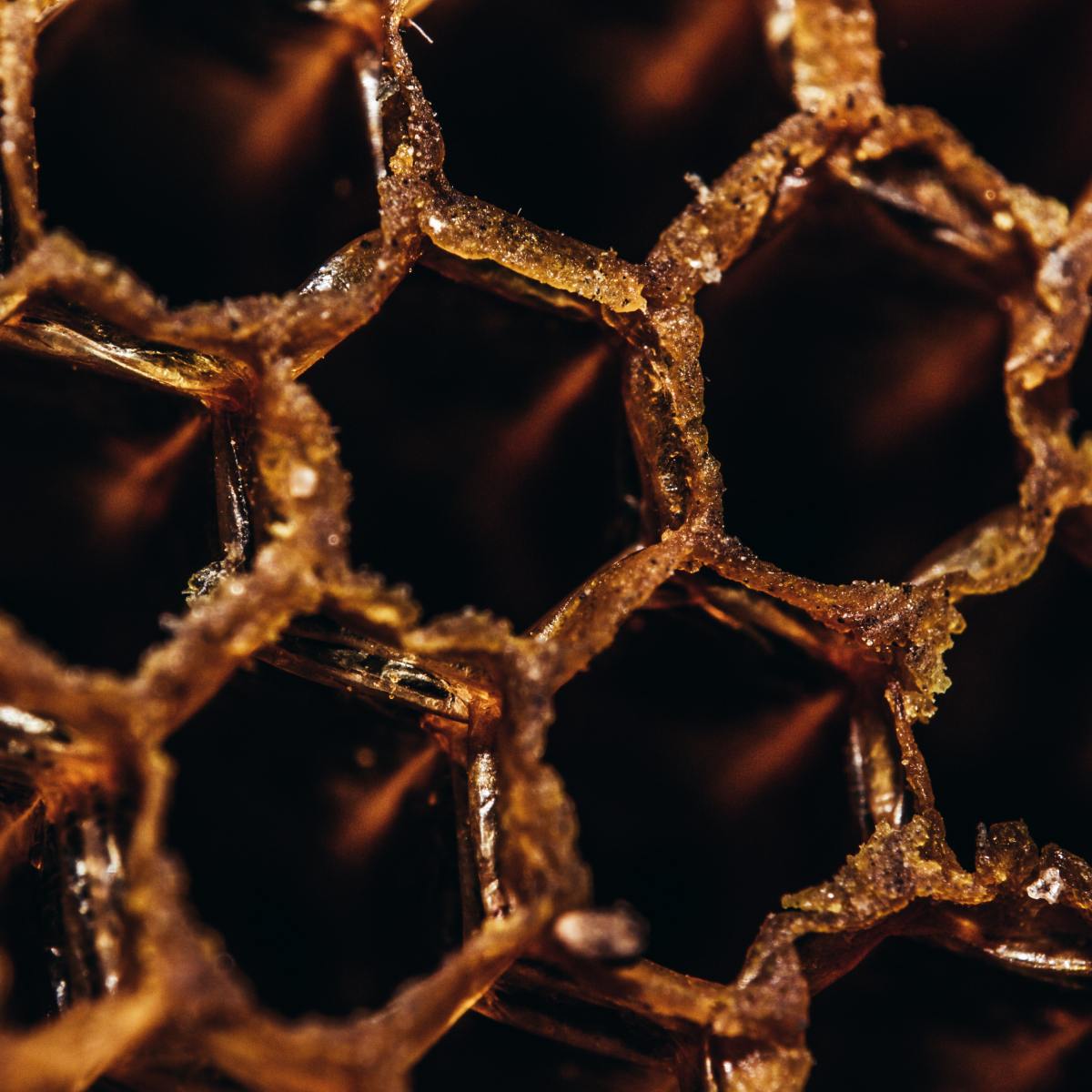 New Winnie the Pooh movie is a “bloody” good&nbsp;time